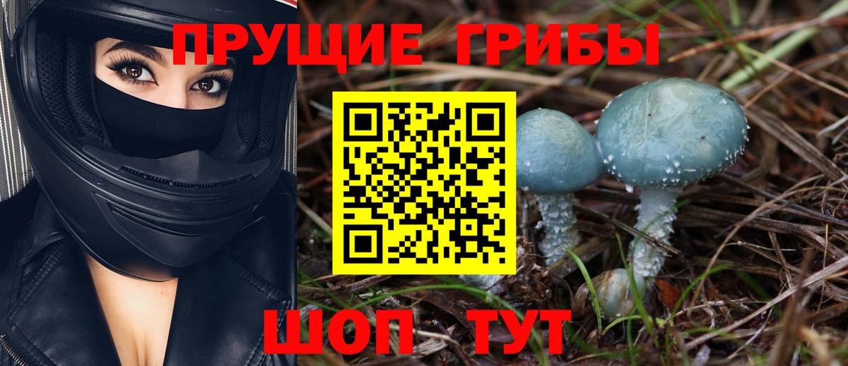 Галлюциногенные грибы MAGIC MUSHROOMS  Вход с VPN  Галлюциногенные грибы прущие грибы  Старая Купавна 